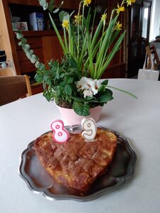 Tournefeuille, Séjour--TableLivingBibliotheque