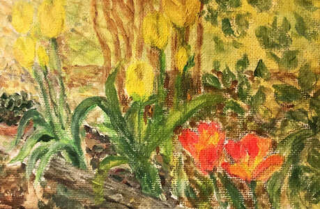 Cdessins, fleurs-artichaut-2024-04-27