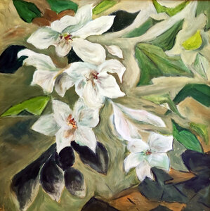 Cdessins, fleurs-blanches