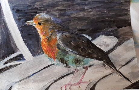 Cdessins, rouge-gorge