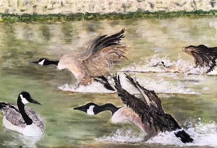 Cdessins, sky-surf-2