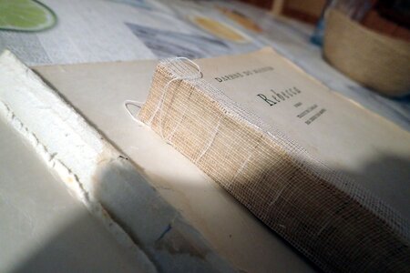 Réparation de livres, Restauration de Rebecca (Livre de Poche) - détail