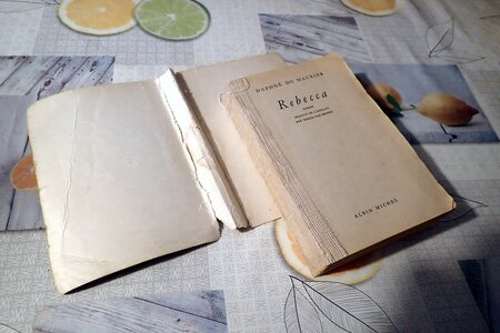 Réparation de livres, Il reste à renforcer la couverture de Rebecca...