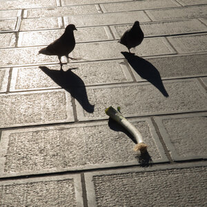 L'Instant Photo 84 : défi février 2026 - à la manière de Martin Parr, Parr11