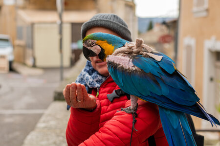 L'Instant Photo 84 : défi février 2026 - à la manière de Martin Parr, Parr17