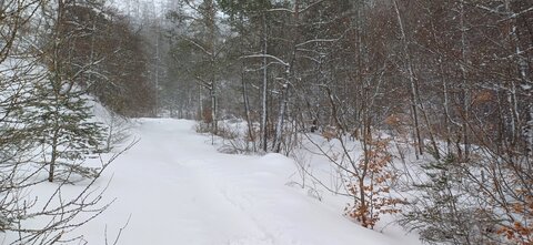 Raquettes à Ancelle, 20260217_094342