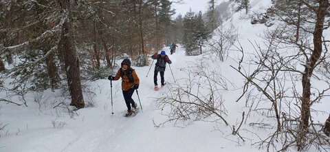Raquettes à Ancelle, 20260217_094433