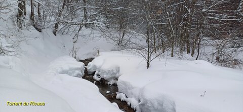 Raquettes à Ancelle, 20260217_094831