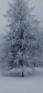 Raquettes à Ancelle, 20260217_104423