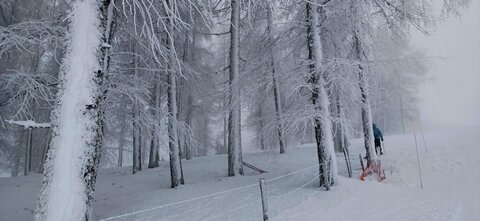 Raquettes à Ancelle, 20260217_104626