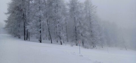 Raquettes à Ancelle, 20260217_104634