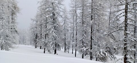 Raquettes à Ancelle, 20260217_114454