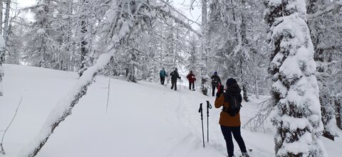 Raquettes à Ancelle, 20260217_114508