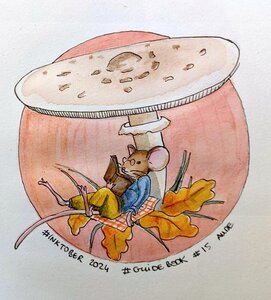 BlogDepuisLesGorces, Coulemelle