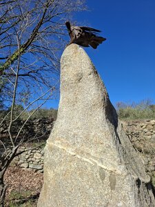 LES ORGUES, 20260221_145126