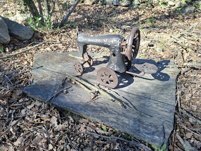 LES ORGUES, 20260221_145051