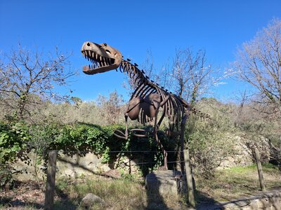 LES ORGUES, 20260221_145009