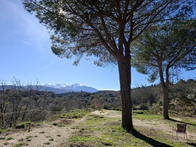 LES ORGUES, 20260221_143557