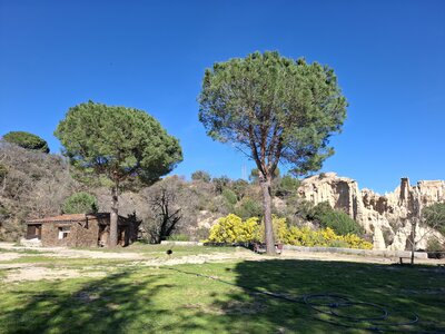 LES ORGUES, 20260221_143212