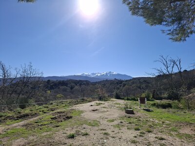 LES ORGUES, 20260221_143147