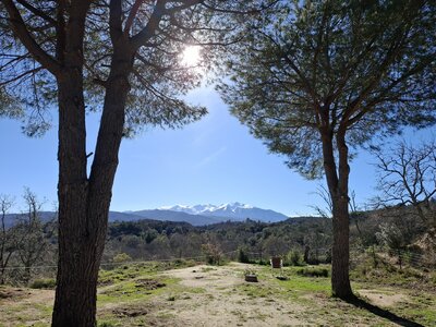 LES ORGUES, 20260221_143137