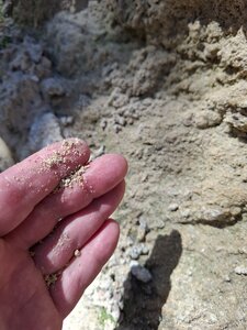 LES ORGUES, 20260221_142722