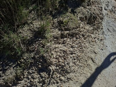 LES ORGUES, 20260221_142149