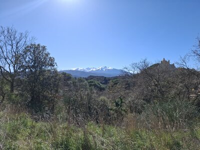 LES ORGUES, 20260221_141106