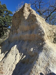 LES ORGUES, 20260221_140758