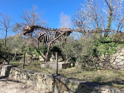 LES ORGUES, 20260221_135339