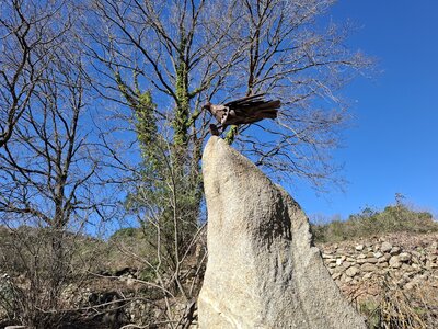 LES ORGUES, 20260221_135301