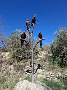 LES ORGUES, 20260221_135223