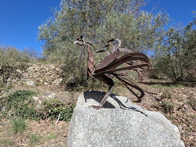 LES ORGUES, 20260221_135156