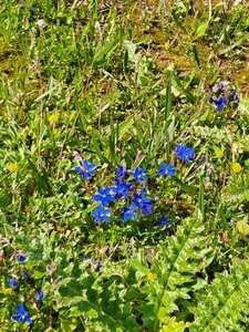Val d'Isère 2025, 20250729_114413
