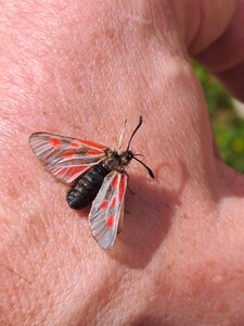 Val d'Isère 2025, 20250729_114419