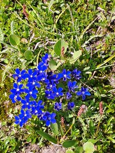 Val d'Isère 2025, 20250729_114443