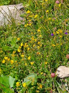 Val d'Isère 2025, 20250729_164134