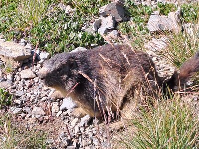 Val d'Isère 2025, 20250731_094516