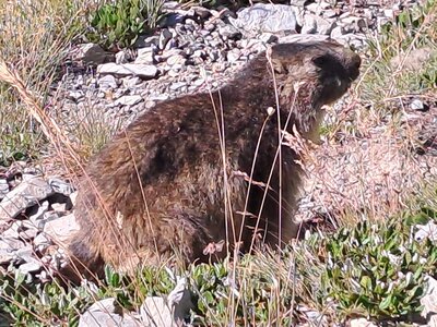 Val d'Isère 2025, 20250731_094524