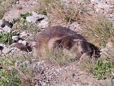 Val d'Isère 2025, 20250731_094627