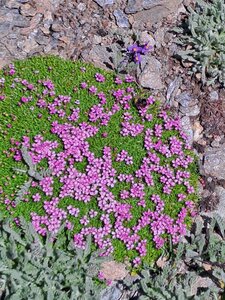 Val d'Isère 2025, 20250731_131833