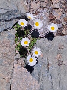 Val d'Isère 2025, 20250731_132134