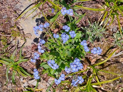 Val d'Isère 2025, 20250731_132631
