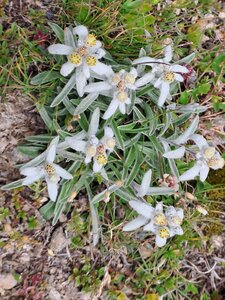 Val d'Isère 2025, 20250801_135651