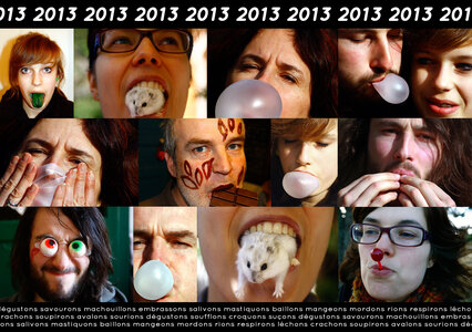 Cartes de voeux Gayet-Mahot , Carte 2013