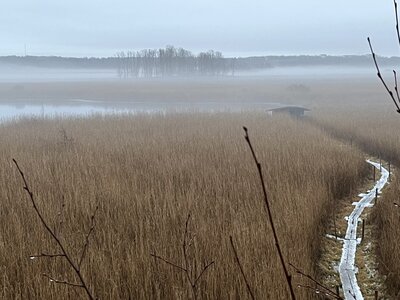 blogpix3, chemin bruime JohannaCharlotte gram social