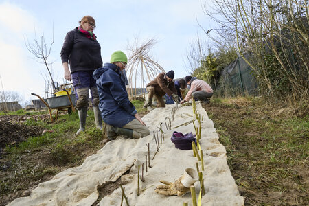 Plantation Osier 21 Fevrier 2026, _BBB7251