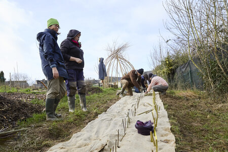 Plantation Osier 21 Fevrier 2026, _BBB7253
