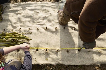 Plantation Osier 21 Fevrier 2026, _BBB7268