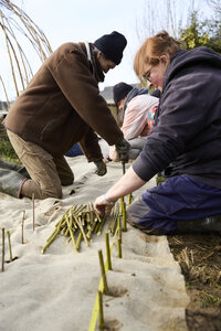 Plantation Osier 21 Fevrier 2026, _BBB7281